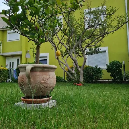 House Вилла Пула