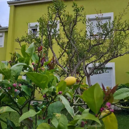 Вилла House Пула